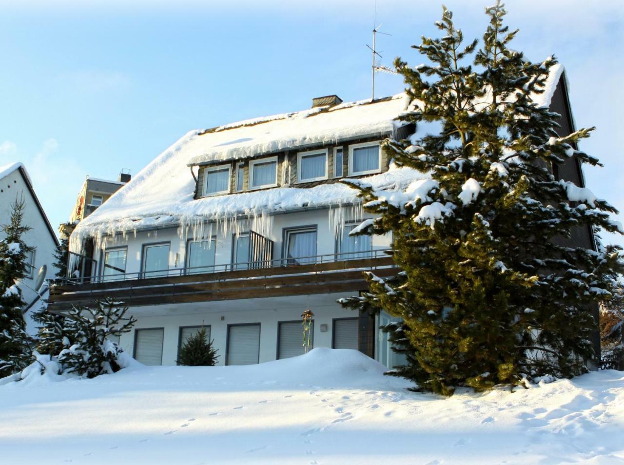 Komfort-Fewo Ettelsberg-Panorama Willingen (Upland) Quarto foto